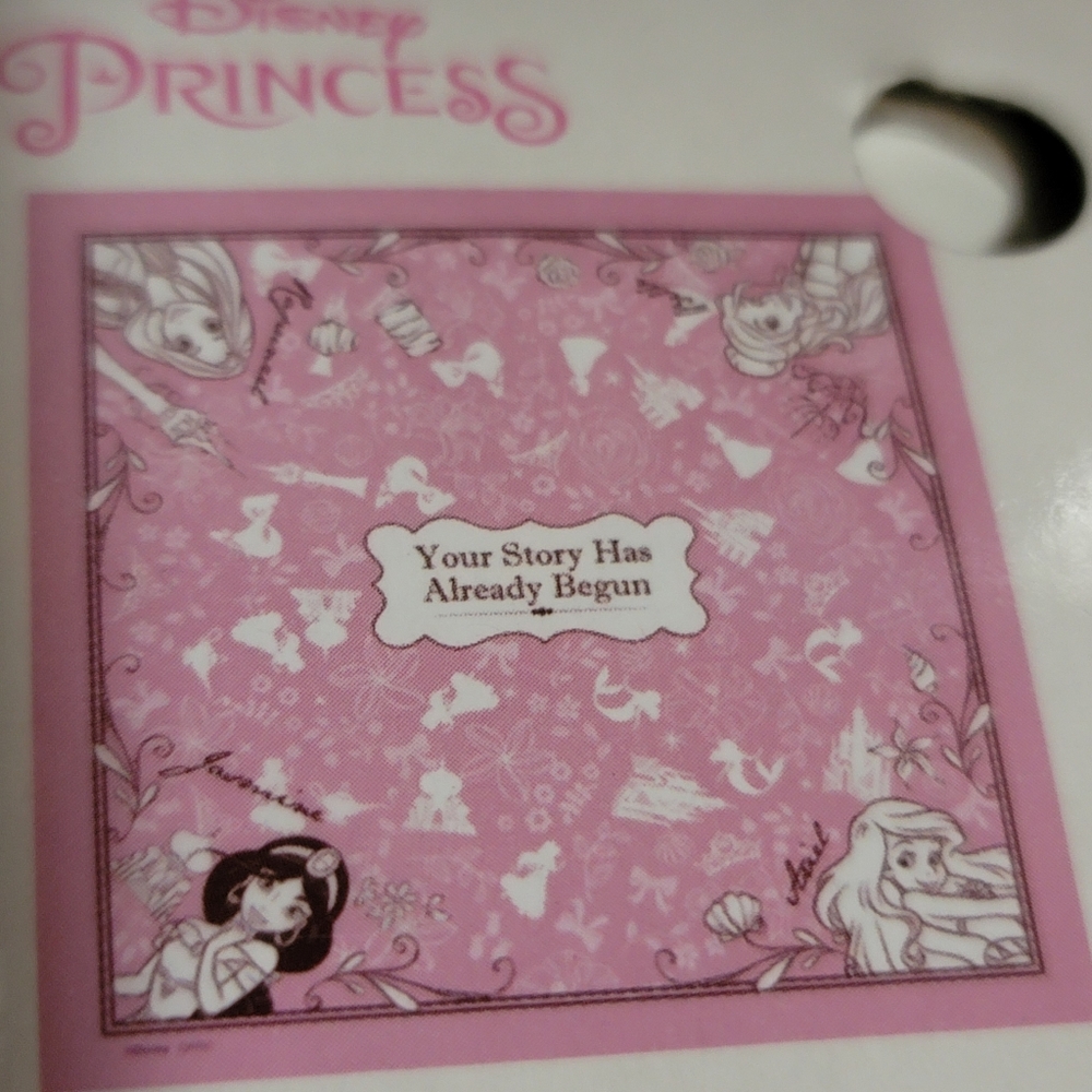 COPY - BRAND NEW: Disney Princess Bandana
